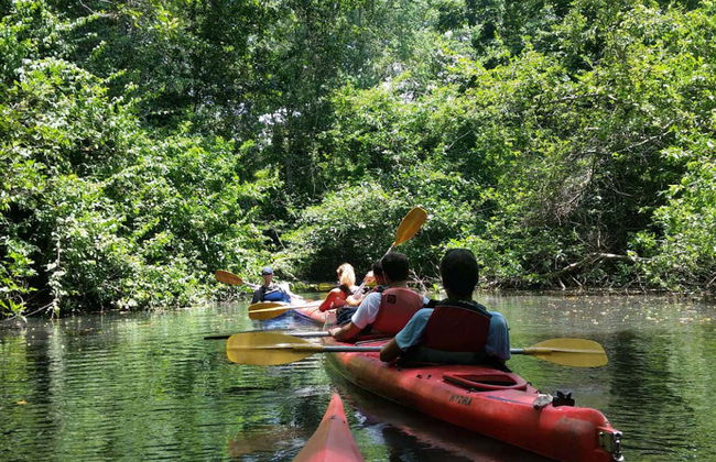 Cacao Lagoon Kayak Tour - Photo 2