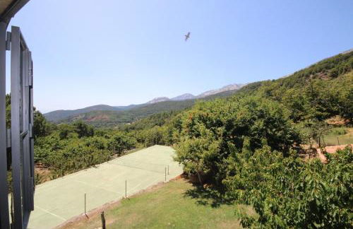 El Pinarejo - Photo 43