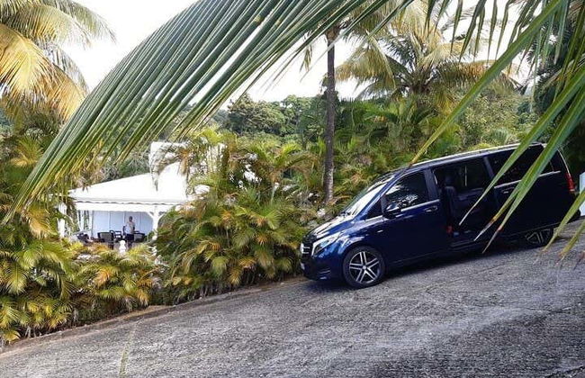 Guadeloupe Private Tour - Photo 2