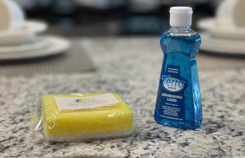 10 BR Home, Themed Rooms, Private Pool, in New Windsor Cay Resort - Foto 59