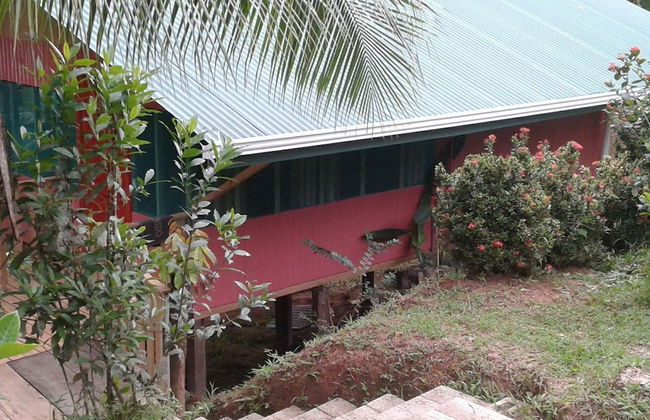 Drake Lapas - Foto 27