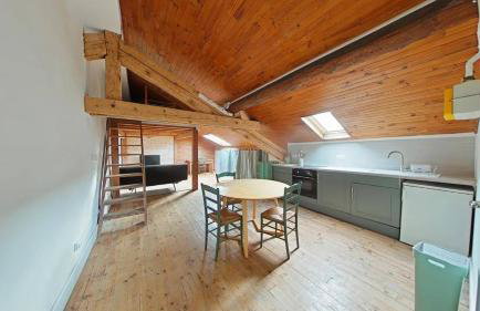 Grand studio lumineux proche gare Bellevue & tram - Foto 1