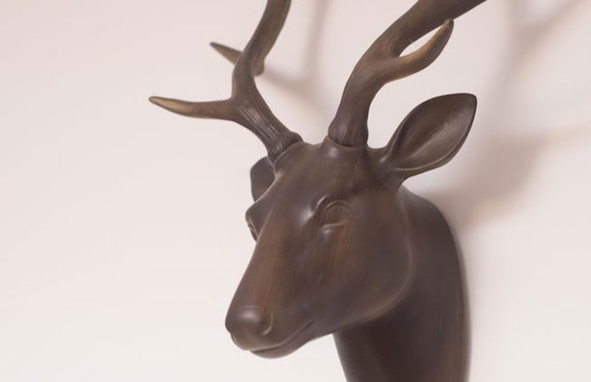 Blair Drummond Holiday Home - Foto 14