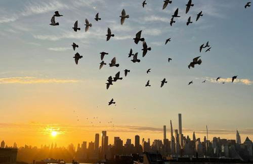 New York Skyline One of a Kind View - Foto 7