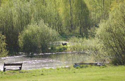 Puszcza Romincka dom z duszą - Foto 6