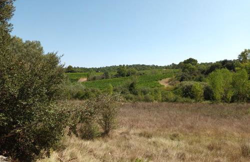 Appartement dans les vignes varoises - Foto 23