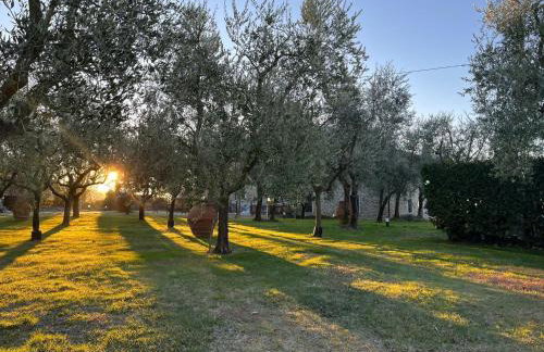 Agriturismo Podere Campiglia - Foto 25