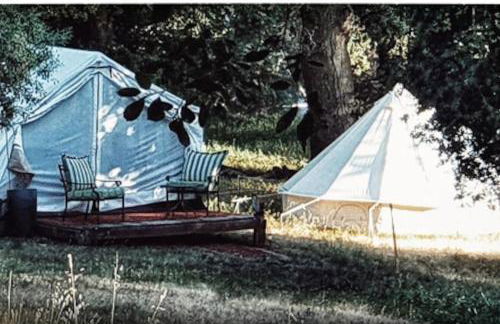 Cozy Rustic Mountain Home with Breathtaking views - Foto 39