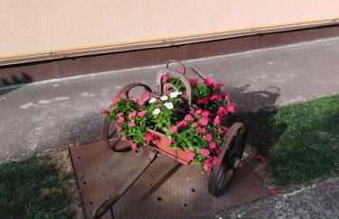 Apartmani MARIN-ŽUPANJA - Foto 69