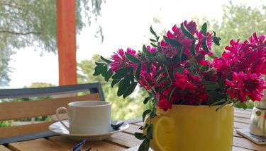 L'oasi nello Zingaro - Foto 5