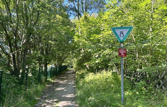 Harzburgliving Goethe's Time out - Foto 25