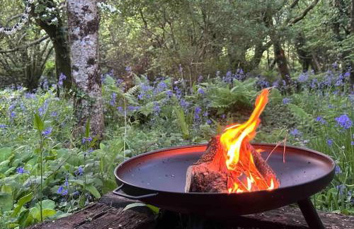 Cornwall Woodland Shepherd's Hut with Hot Tub - Deirdres Hut - Foto 59