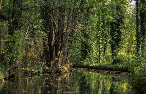 Spreewaldferienwohnungen - Foto 17