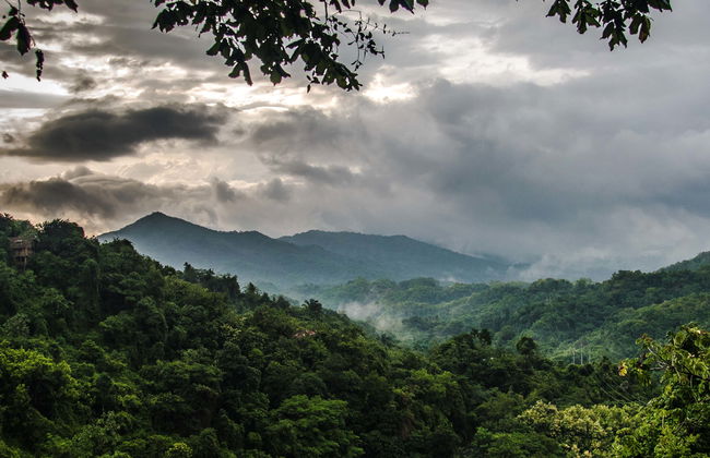 Minca Bird Watching Tour - Photo 1