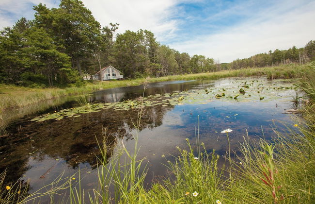 Our Wielgot Tradition - Photo 16