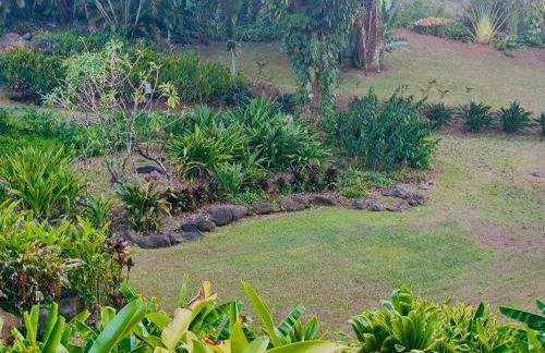 Tranquil 4 bedroom - Foto 17