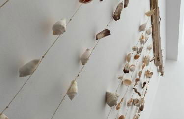 Ponent Formentera - Foto 30