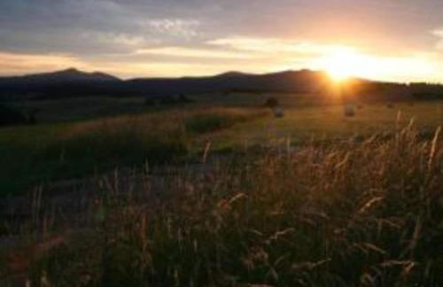Ferienhaus mit Wellnessbereich in Elend - Foto 31