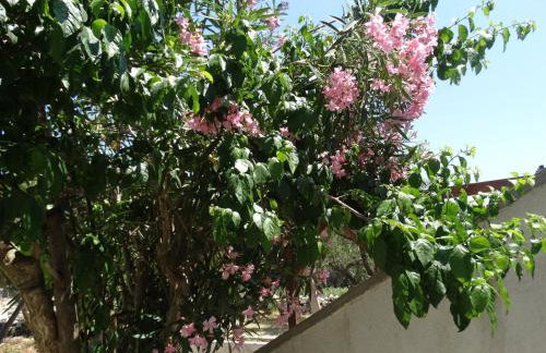 Eco Secluded apartments Zabodarski - Foto 31