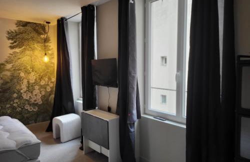 Ainay/centre Lyon/un cocon ! - Foto 24