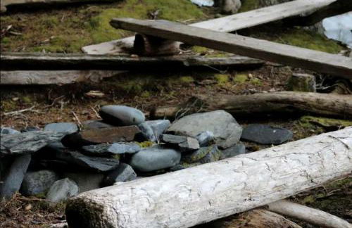 Rustic Cabin Rental for a Secluded Escape to Whale Island, Alaska - Foto 15