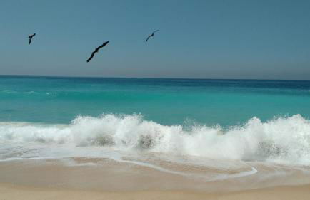 Vila Ebert - Foto 51