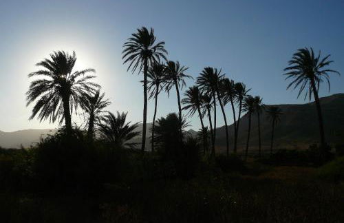 La Posidonia - Foto 54