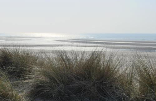 Au gré du vent - Foto 18