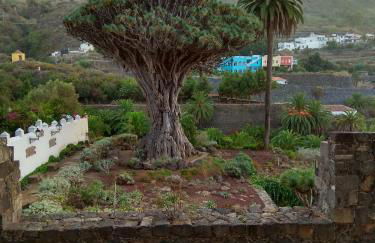 Sunset El Pris - Foto 29