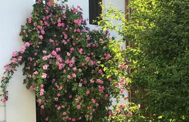 Landhaus Gustl - Foto 18