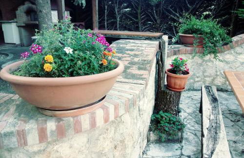 Parco Sogni d'Oro - Photo 15