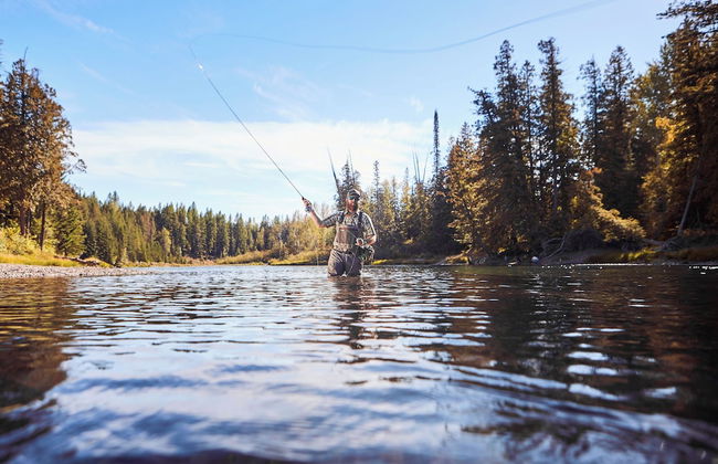 Apgar Lookout Suites - Photo 29