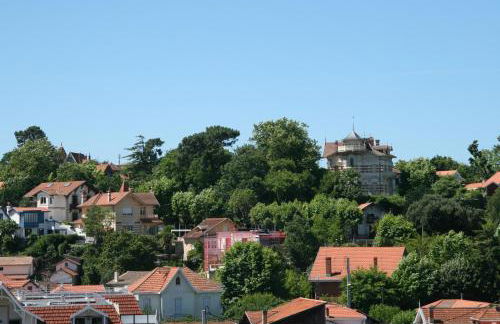 Appartement Au Sud Avec Vue Bassin - Foto 10