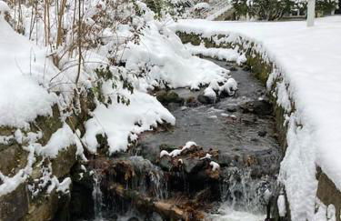 Appartement ComfortZone im Harz mit Sauna und Pool - Foto 28