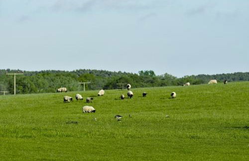 Apartment B12 Balkon mit Naturblick & Nutzung der Wellness- & Aktivbereiche im Pine Hill Resort - Foto 37