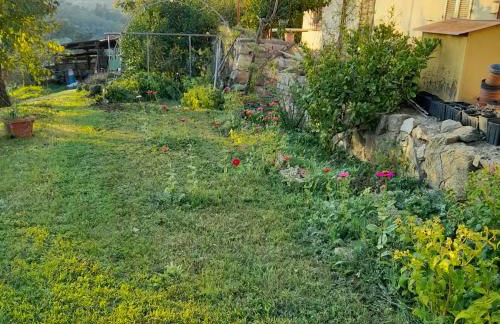 Le Corti - Agriturismo Olio e Vino - Foto 10