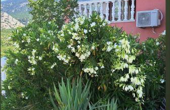 Villa Lilly - Foto 14