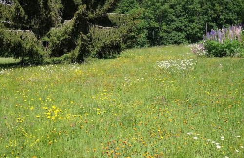 Das Ferienhaus mit lichtem 85m² Studio - Foto 27