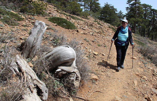 Tzionis Petroktisto Holiday Stonehouse - Photo 33