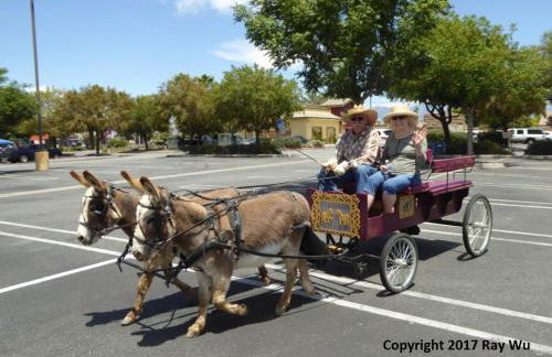 Mansion on the Hill let 4 Rooms, 5th cost extra - Foto 52