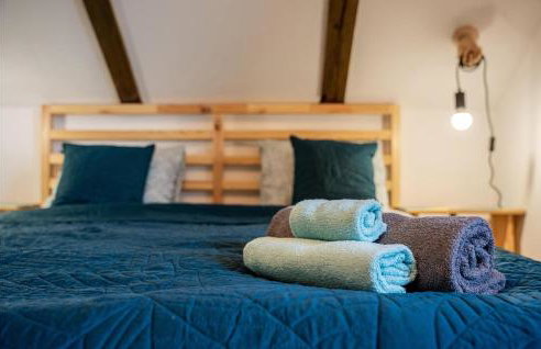 Amazing Home In Gornje Plavnice - Foto 31