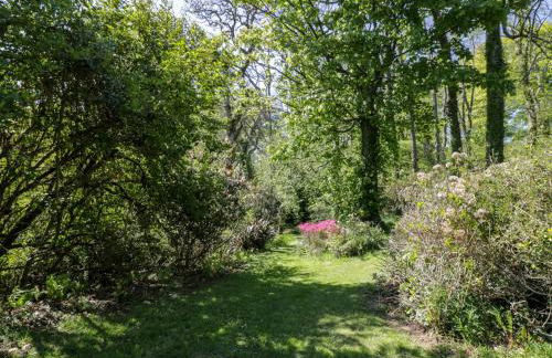 Claymoddie - Foto 51