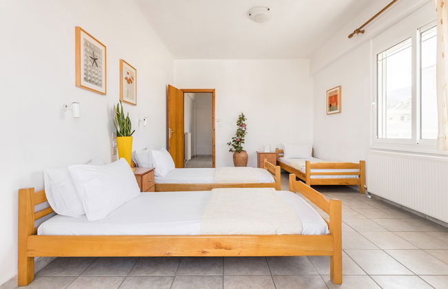 White Bluebell - Foto 6