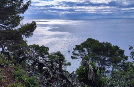 La Terrasse 6-Vue Mer Panoramique & Piscine, BBQ - Foto 76