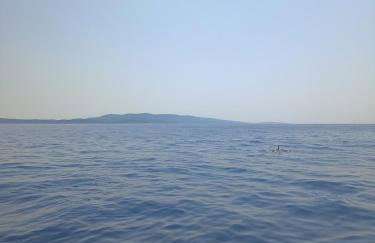 App Bonić - Foto 58