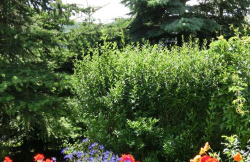 Ferienhaus in Cattenstedt Harz mit Garten - Foto 22