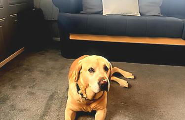 ML66 8 BERTH CARAVAN GOLDEN PALM CHAPEL ST LEONARDS - Foto 22