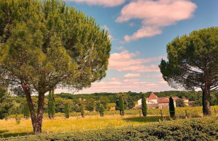 Chalet au calme cœur du LOT - Foto 20