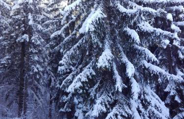 Holiday Home Kuća Ulaga - Foto 57