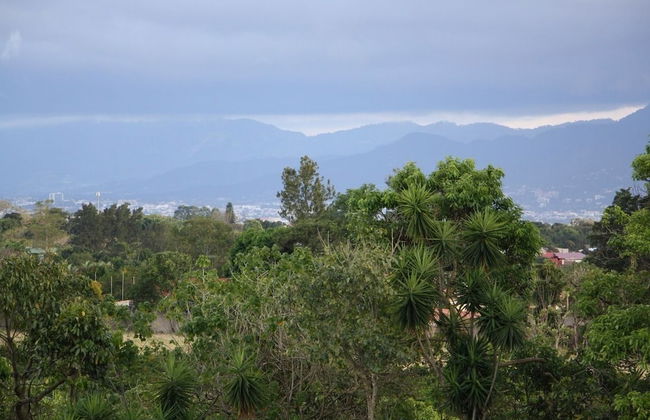 Apartamentos La Alborada - Foto 66